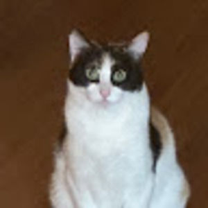 Meet your Posher, Jade